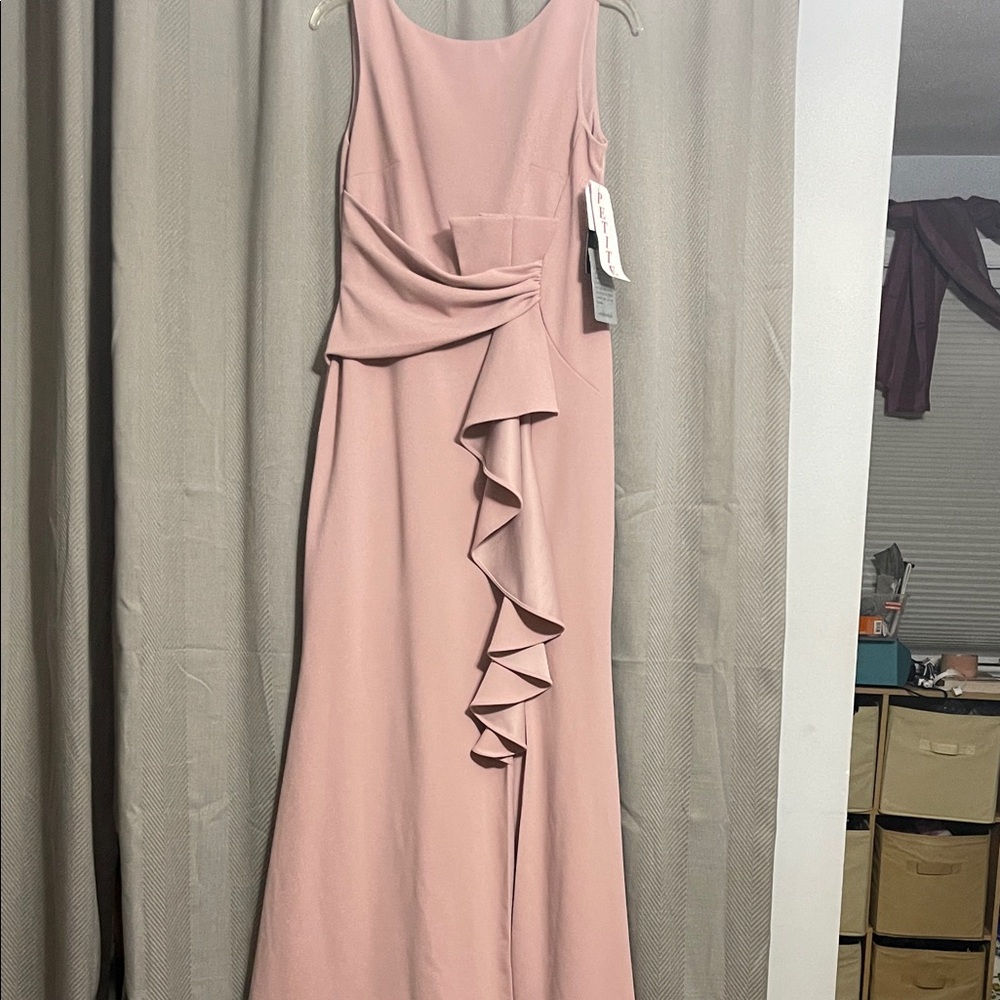 Betsy Adam’s Pink Blush 10petite gown NWT
